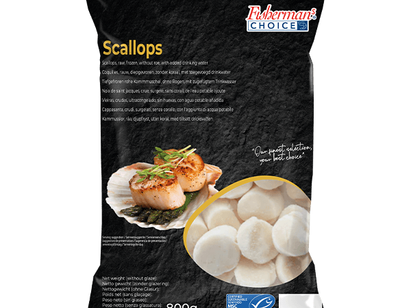 Scallops MSC